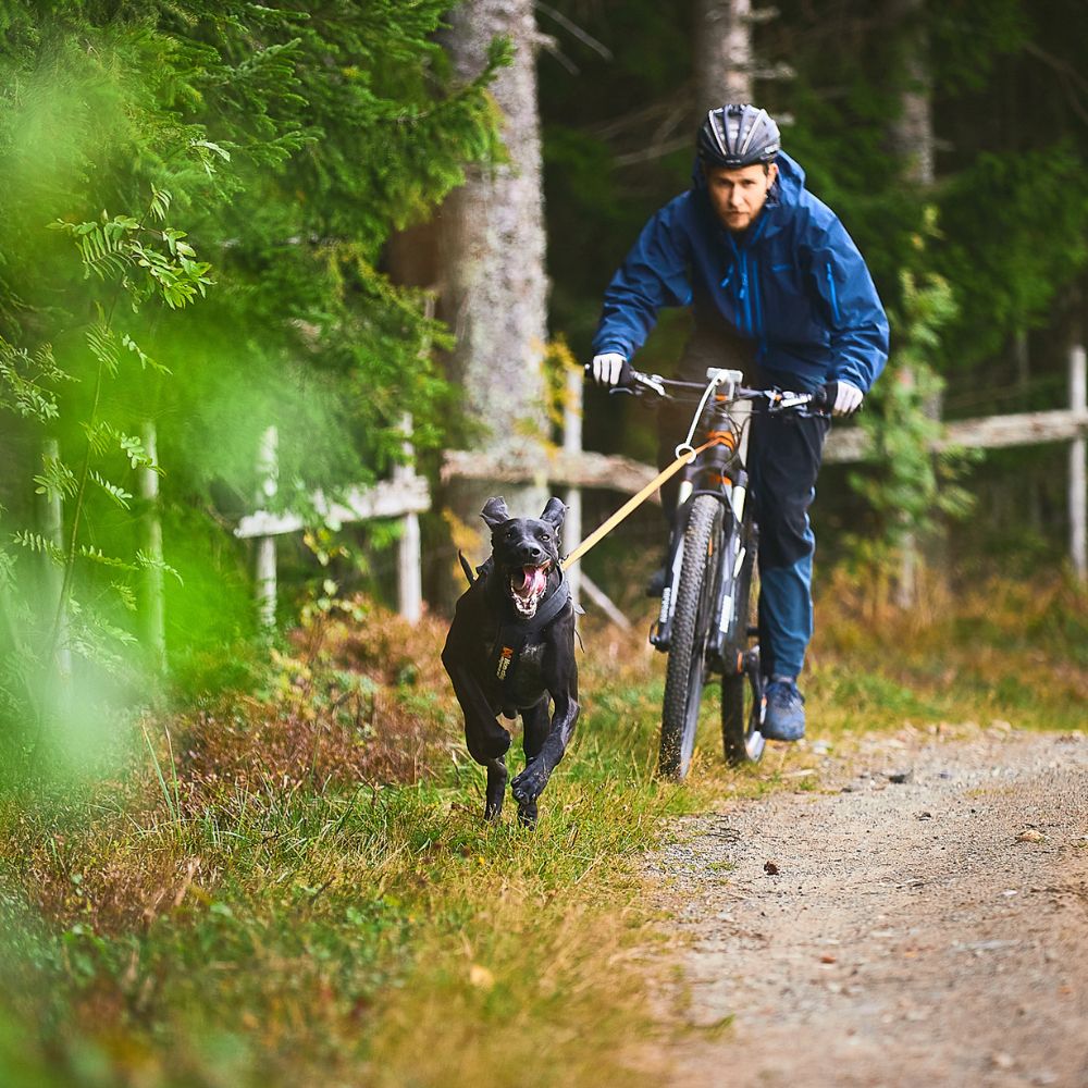 Antena para Bikejoring KLICKfix (bicicleta) Non-stop dogwear - Corre Perro Mx