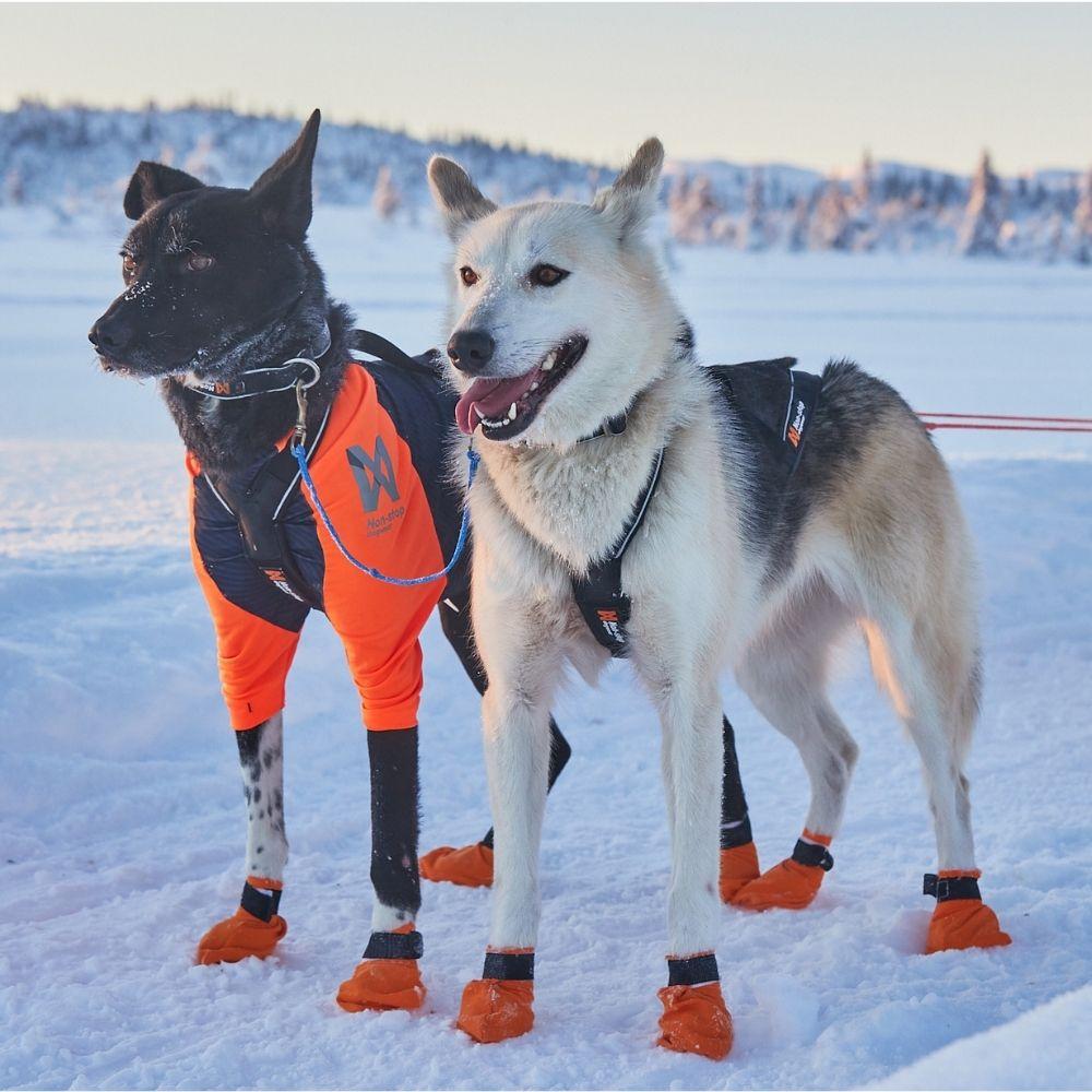 Arnés "Nansen Nome 5.0" Non-stop dogwear - Corre Perro Mx